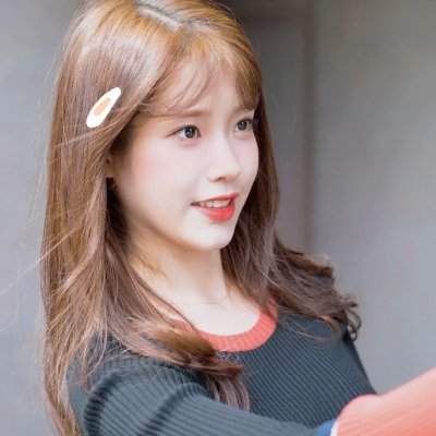 聪明的鸭子